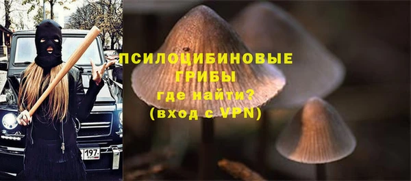 spice Медногорск