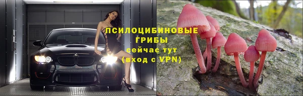 ГАЛЛЮЦИНОГЕННЫЕ ГРИБЫ Магадан