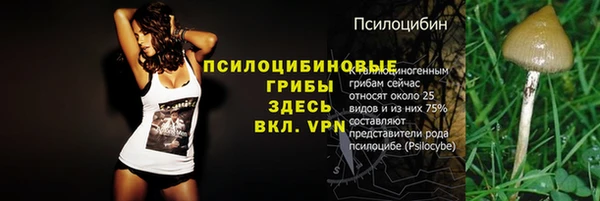 spice Медногорск
