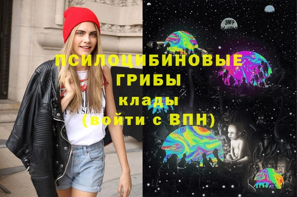 дмт Медвежьегорск