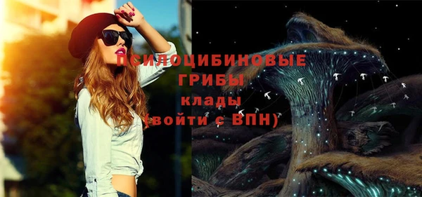 ПСИЛОЦИБИНОВЫЕ ГРИБЫ Мегион