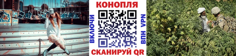 купить закладку  Шахунья  это Telegram  Конопля Ganja  МЕГА онион 